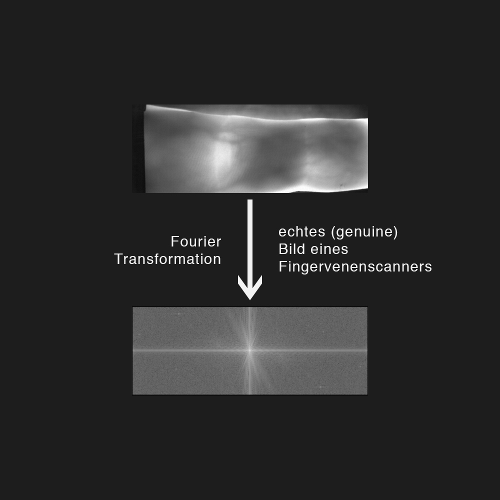 Fourier-Transformation eines echten Scans
