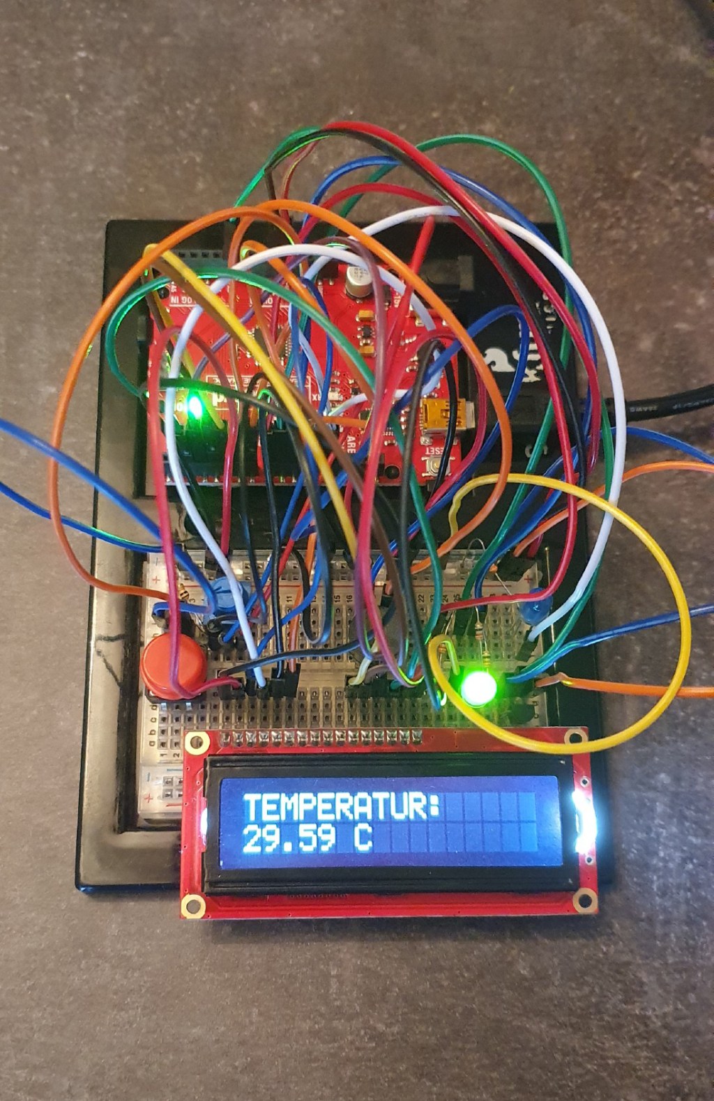 Foto des Thermometer-Prototypen